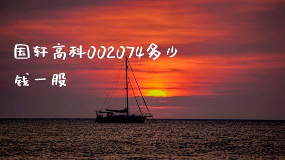 国轩高科002074多少钱一股_https://wap.langutaoci.com_今日财经_第1张