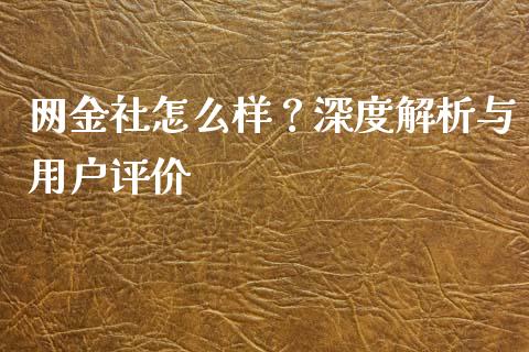 网金社怎么样？深度解析与用户评价_https://wap.langutaoci.com_今日财经_第1张