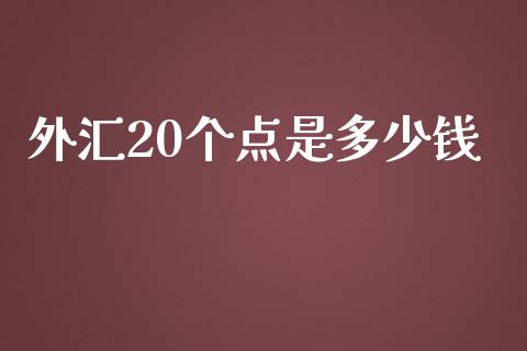 外汇20个点是多少钱_https://wap.langutaoci.com_债券基金_第1张