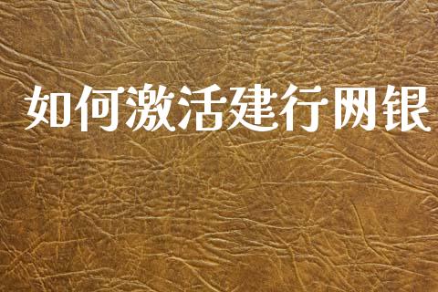 如何激活建行网银_https://wap.langutaoci.com_外汇论坛_第1张