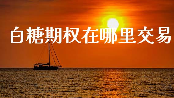 白糖期权在哪里交易_https://wap.langutaoci.com_期货行情_第1张