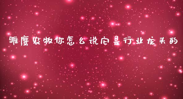 雏鹰农牧你怎么说它是行业龙头的_https://wap.langutaoci.com_金融服务_第1张