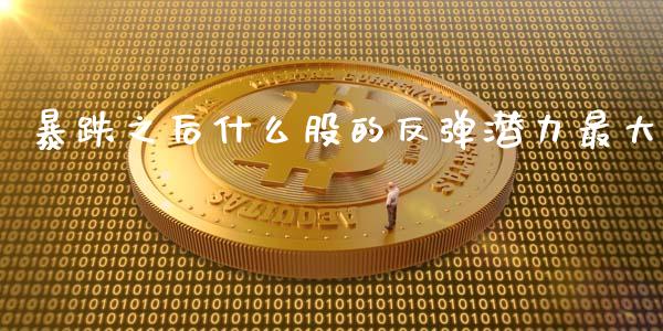 暴跌之后什么股的反弹潜力最大_https://wap.langutaoci.com_货币市场_第1张