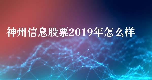 神州信息股票2019年怎么样_https://wap.langutaoci.com_金融服务_第1张