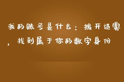 我的账号是什么：拨开迷雾，找到属于你的数字身份_https://wap.langutaoci.com_金融服务_第1张