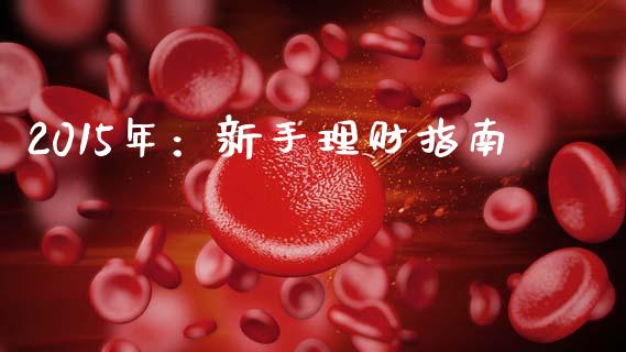 2015年：新手理财指南_https://wap.langutaoci.com_债券基金_第1张