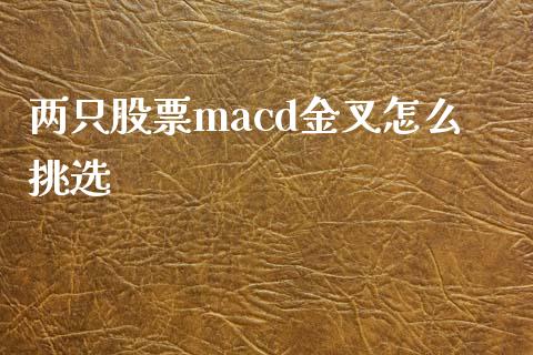 两只股票macd金叉怎么挑选_https://wap.langutaoci.com_金融服务_第1张